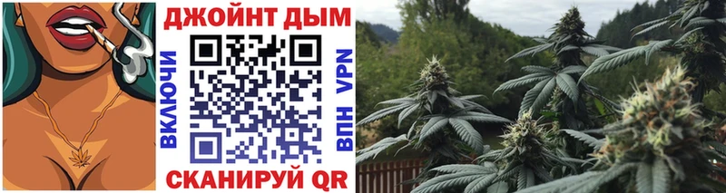 где продают наркотики  blacksprut ONION  Бошки Шишки план  Тайга 